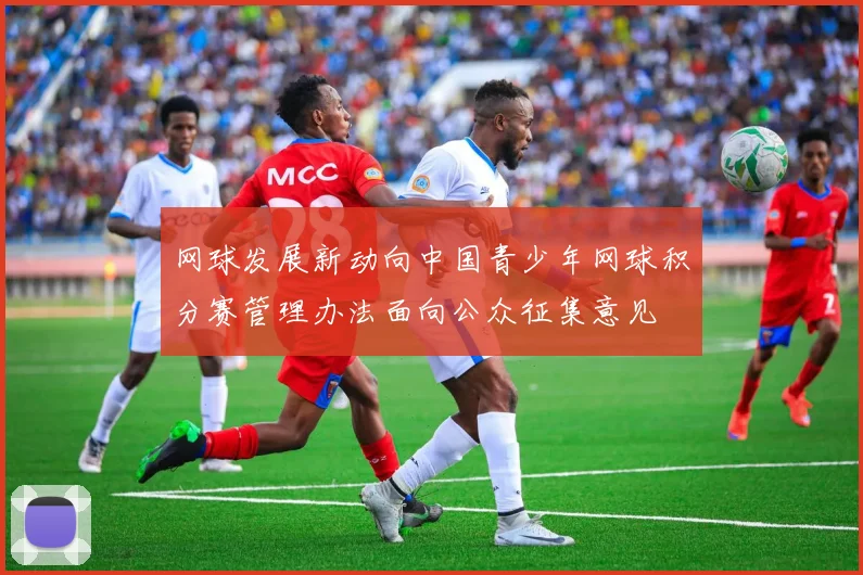 网球发展新动向中国青少年网球积分赛管理办法面向公众征集意见