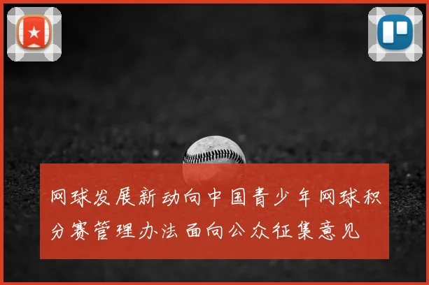 网球发展新动向中国青少年网球积分赛管理办法面向公众征集意见