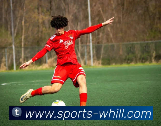 威廉希尔Official Page发展历程